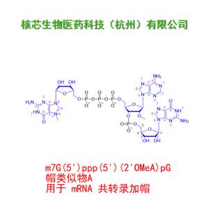 帽类似物A 产品图片