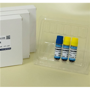 CD19+T细胞分选试剂盒