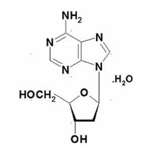 2’-脱氧腺苷一水合物 产品图片