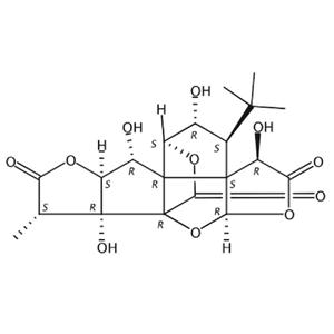 银杏内酯C