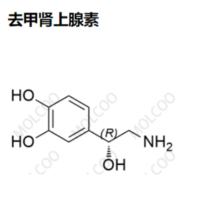 去甲肾上腺素