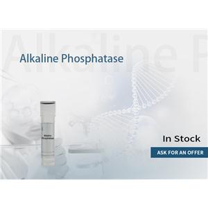 碱性磷酸酶 产品图片