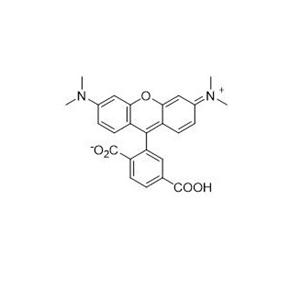 6-羧基四甲基罗丹明  91809-67-5