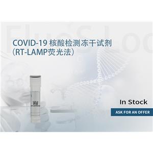 RT-LAMP 核酸扩增试剂（荧光染料法） 产品图片