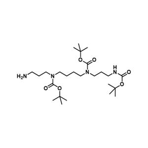 Spermine(HBBB)