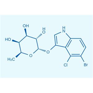 5-溴-4-氯-3-吲哚 α-L-吡喃岩藻糖苷