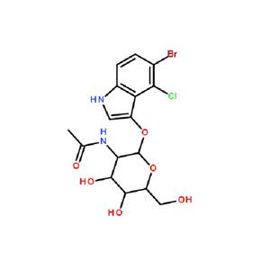 5-溴-4-氯-3-吲哚-N-乙酰 β-D-氨基葡萄糖苷