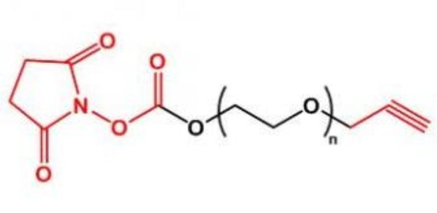  NHS-PEG-Alkyne