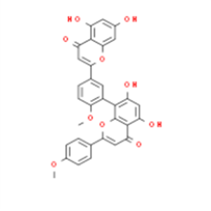 异银杏双黄酮