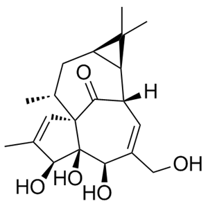 巨大戟醇，30220-46-3，Ingenol，生产厂家现货直采。