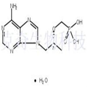 替诺福韦一水合物  CAS号：206184-49-8