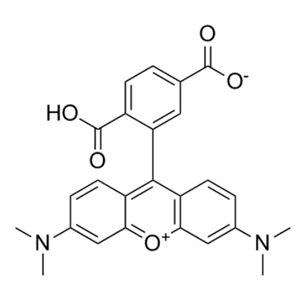  6-羧基四甲基罗丹明