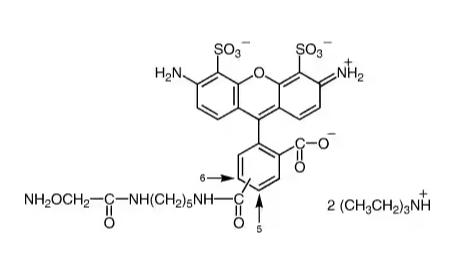 AF488 Hydroxylamine.png