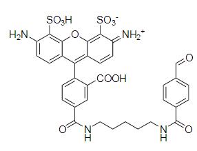 AF488 aldehyde.png