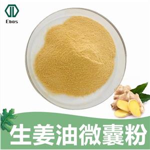 生姜油微囊粉 姜辣素2/10/20% 固体饮料压片 水溶性生姜油微囊粉