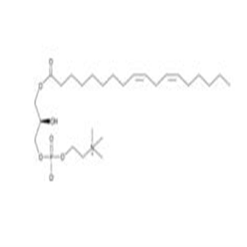 1-Linoleoyl-2-Hydroxy-sn-glycero-3-PC.jpg