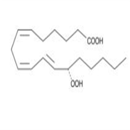 13(S)-HpOTrE(γ).jpg