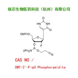 DMT-2'-F-pU Phosphoramidite 工厂大货 产品图片