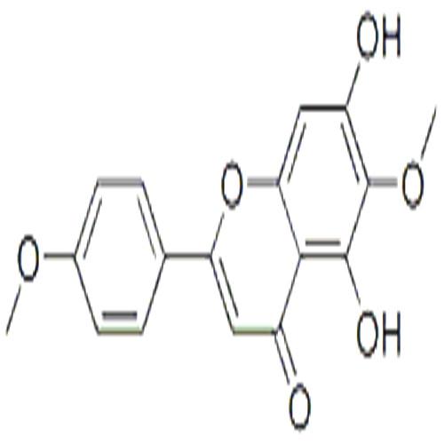 柳穿鱼黄素.jpg