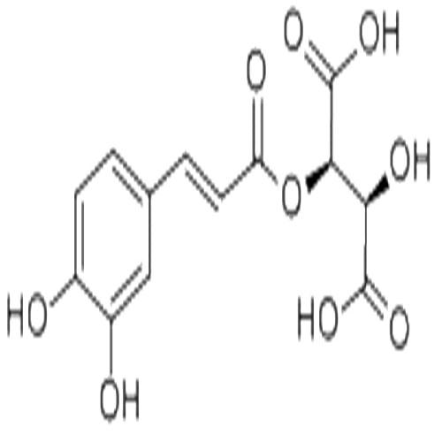 单咖啡酰洒石酸.jpg