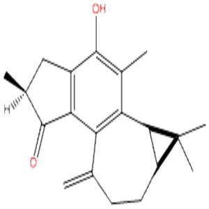 麻枫树酚酮B