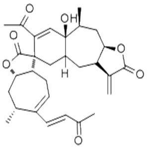 辛辣内酯A