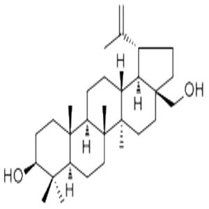 白桦脂醇