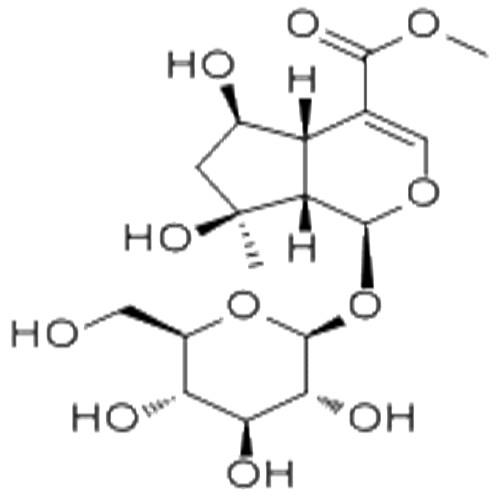 山栀苷甲酯.jpg