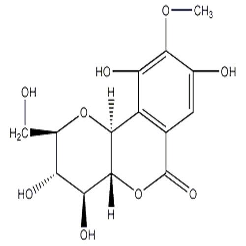 岩白菜素.jpg