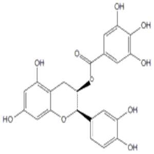 表儿茶素没食子酸酯