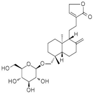 新穿心莲内酯