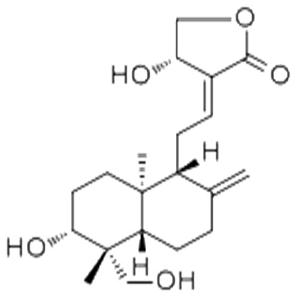 穿心莲内酯