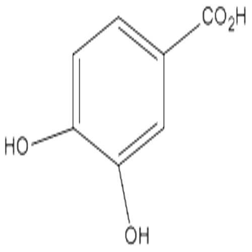 原儿茶酸.jpg