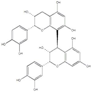 原花青素B2