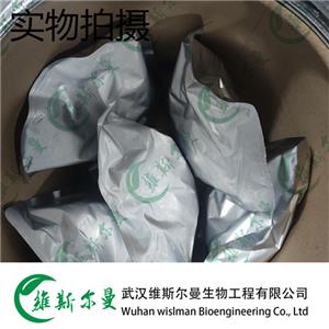 氯唑西林钠；邻氯青霉素钠 CAS:7081-44-9