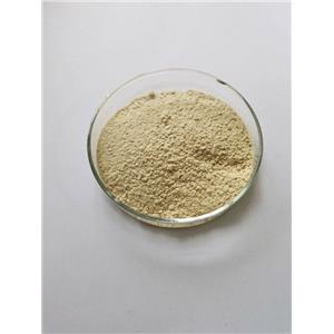 苄丝肼原料现货供应2,3,4-三羟基苯甲醛