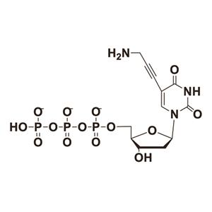 5-Propargylamino-dUTP 产品图片