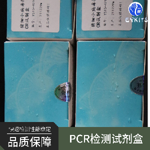 PCR试剂盒线粒体DNA检测