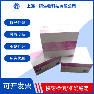 ALCAM Elisa Kit