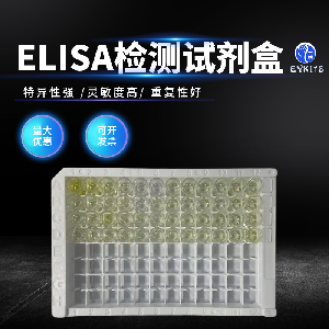 IGFBP-2 Elisa Kit