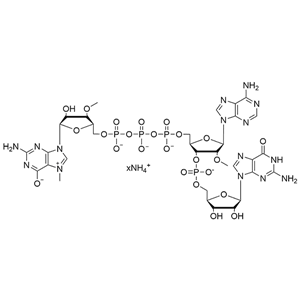 (3'-OMe-m7G)(5')ppp(5')(2'-OMeA)pG·NH4 产品图片