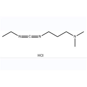 1-乙基-(3-二甲基氨基丙基)碳酰二亚胺盐酸盐