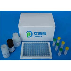 大鼠水通道蛋白4(AQP-4)Elisa试剂盒