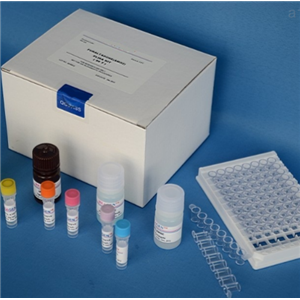 植物基因组DNA提取试剂盒（磁珠法）生产供应商艾普蒂生物