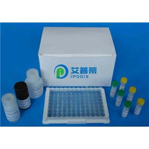 PCR产物纯化试剂盒（磁珠法）生产供应商艾普蒂生物