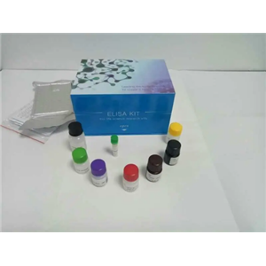 片段筛选试剂盒（磁珠法）生产供应商艾普蒂生物