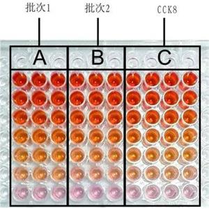 CCK-8试剂盒