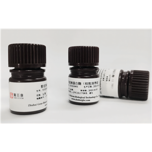 重组胰蛋白酶（药典级、细胞培养级、1:250） 产品图片