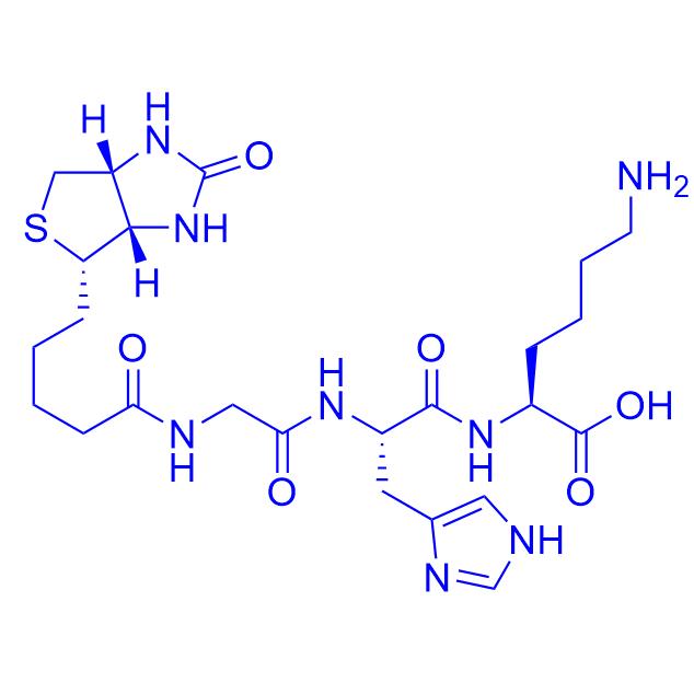 Biotinoyl Trippeptide-1 299157-54-1；299157-54-3.png