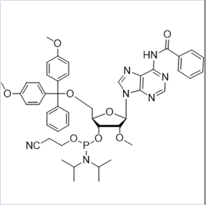 2'-OMe-Bz-A-CE-Phosphoramidite